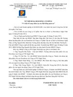 Tờ trình bầu bổ sung thành viên HĐQT