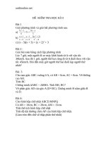 de kiem tra 45 phut hkii toan khoi 8 co dap an 69155