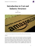 Introduction to Cost and Industry Structure