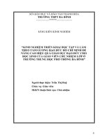 SKKN Kinh nghiệm triển khai học tập và làm theo tấm gương đạo đức Hồ Chí Minh để nâng cao hiệu quả giáo dục đạo đức cho học sinh của giáo viên chủ nhiệm lớp ở trường THPT Ba Đình