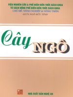 Cây ngô ngô hữu tình