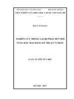 Nghiên cứu trồng lại bộ phận đứt rời vùng đầu mặt bằng kỹ thuật vi phẫu