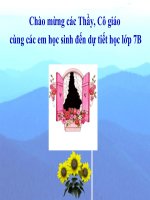 Chương IV. §4. Đơn thức đồng dạng