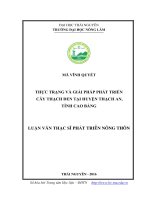 Thực trạng và giải pháp phát triển cây thạch đen tại huyện Thạch An, tỉnh Cao Bằng (LV thạc sĩ)