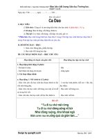 Giáo án buổi chiều theo VNEN  rèn viết chính tả lớp 2 