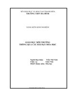 SKKN GIÁO DỤC MÔI TRƯỜNG THÔNG QUA CÁC BÀI DẠY HÓA HỌC