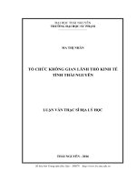 Tổ chức không gian lãnh thổ kinh tế tỉnh Thái Nguyên (LV thạc sĩ)