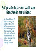 Bài 19. Sự phân bố sinh vật và đất trên Trái Đất