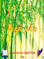 GIÁO án THAO GIẢNG môn NGỮ văn bài KIỀU ở lầu NGƯNG BÍCH 