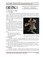 Thiết kế hệ thống thoát nước, xử lý nước thải & vệ sinh môi trường khu dân cư Vĩnh Hải - Vĩnh Hòa, TP Nha Trang, Khánh Hòa đến năm 2030