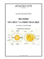 Bài giảng tổ chức và phôi thai học 