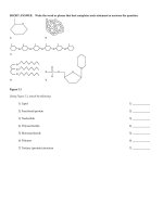 Human anatomy and physiology 9th edition marieb test bank 