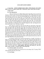 SKKN KINH NGHIỆM KHẮC PHỤC TÌNH TRẠNG yếu kém môn TOÁN của học SINH lớp 73 TRƯỜNG THCS TRẦN HƯNG đạo 