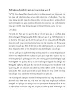 Bình luận quyền miễn trừ quốc gia trong tư pháp quốc tế