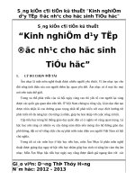 sang kien kinh nghiem   duong thi thuy hang 