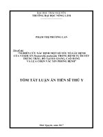 Nghiên cứu xác định một số yếu tố gây bệnh của vi khuẩn p  multocida trong bệnh tụ huyết trùng trâu, bò tại hà giang, cao bằng và lựa chọn vắc xin phòng bệnh (tt) 