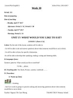 GIáo án TA lớp 5 tuần 30 