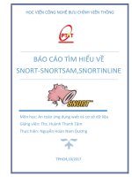 Báo cáo tìm hiểu hệ thống phát hiện xâm nhập snort IDS