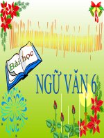 Bài 12. Số từ và lượng từ