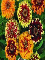 Tuần 10. Kể về người thân