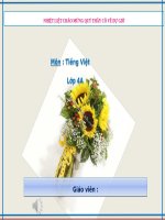 Tuần 10. Ôn tập Giữa Học kì I