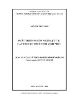 Phát triển nguồn nhân lực tại các Chi cục thuế tỉnh Vĩnh Phúc (LV thạc sĩ)