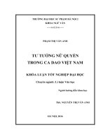 Tư tưởng nữ quyền trong ca dao việt nam (2016) 