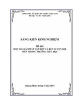 MỘT số GIẢI PHÁP tập hợp và rèn LUYỆN đội VIÊN TRONG TRƯỜNG TIỂU học 