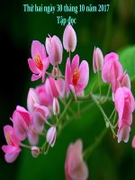 Tuần 11. Chuyện một khu vườn nhỏ