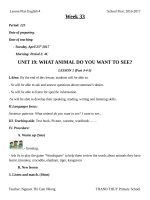 Giáo án TA lớp 4 tuần 33 