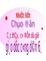 Bài 9. Lịch sự, tế nhị