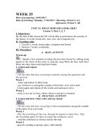 Giáo án TA lớp 4 tuần 25 