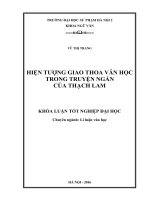 Hiện tượng giao thoa văn học trong truyện ngắn của thạch lam (2016)