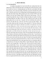 Một số giải pháp nâng cao hiệu quả tổ chức hoạt động nhóm khi dạy học theo mô hình trường học mới 