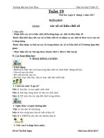 Giáo án cô ngọc (3c)   tuần 19 (năm học 2016 2017) 