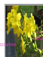 Bài 10. Tích cực, tự giác trong hoạt động tập thể và trong hoạt động xã hội