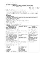 Giáo án MT 6 tuần 20 29 