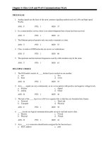 Hands on networking fundamentals 1st edition michael palmer test bank 
