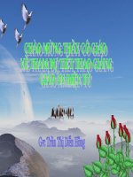 Tiết 15. Học bài hát tự chọn