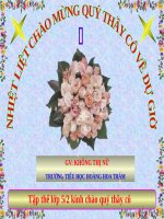 Tuần 11. Chuyện một khu vườn nhỏ