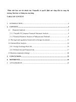 Phân tích báo cáo tài chính của vinamilk và quyết định mở rộng đầu tư sang thị trường thái lan và malaysia 
