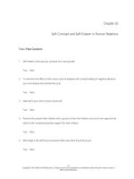 Human relations strategies for success 5th edition lamberton test bank 