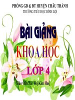 Bài 17. Phòng tránh tai nạn đuối nước