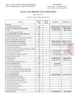 BCTC hop nhat quy 3 nam 2017