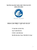 BÁO CÁO THỰC TẬP SẢN XUẤT NHÀ MÁY NHIỆT ĐIỆN CAO NGẠN