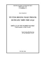 Tố tâm (hoàng ngọc phách) dưới góc nhìn thể loại (2016)