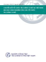 CHUYỂN ĐỔI TỔ CHỨC TÀI CHÍNH VI MÔ TẠI VIỆT NAM: BÀI HỌC KINH NGHIỆM CỦA CÁC TỔ CHỨC TÀI CHÍNH VI MÔ