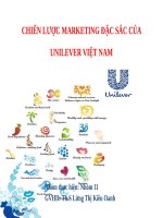 CHIẾN LƯỢC MARKETING ĐẶC SẮC CỦA UNILEVER VIỆT NAM