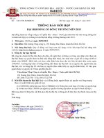 thong bao moi hop dai hoi co dong 20133