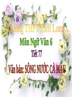 Bài 19. Sông nước Cà Mau